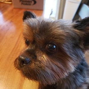 Meet your Posher, Christy